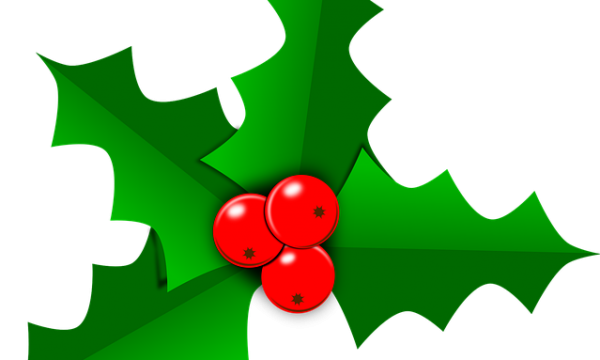 Christmas: Holly